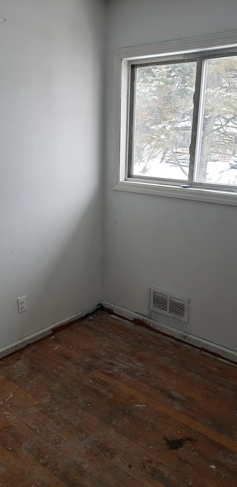 Finished rental property living room with teal walls, white trim, black entry door, large window, and refinished hardwood floor - photo 8